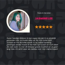 DONGOODS® Toiletblokjes Voor Inbouwreservoirs – WC-blokjes – Toiletblokken In Een Voordeelverpakking – 12 Stuks -Winkel Voor Schoonmaakartikelen 1197x1200 2