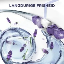 Glorix Power 5 Toiletblokken - Lavendel - 9 Stuks - Voordeelverpakking 13 Glorix Power 5 Toiletblokken - Lavendel - 9 Stuks - Voordeelverpakking -Winkel Voor Schoonmaakartikelen 1200x1200 242