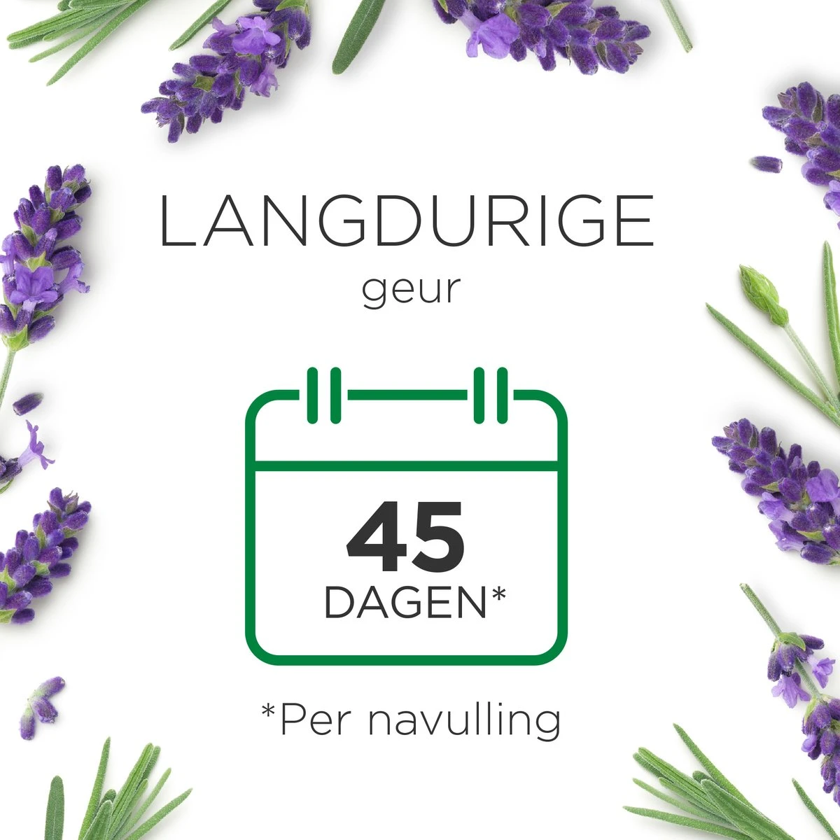 Air Wick Essential Mist Automatische Luchtverfrisser - Ontspannende Lavendel - 3 Navullingen 3 Air Wick Essential Mist Automatische Luchtverfrisser - Ontspannende Lavendel - 3 Navullingen - Image 3
