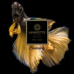 Lavayette Premium Wasparfum - Proefpakket 9x25ml - Geurbooster 16 Lavayette Premium Wasparfum - Proefpakket 9x25ml - Geurbooster -Winkel Voor Schoonmaakartikelen 1200x1200 554