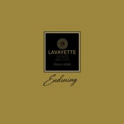 Lavayette Premium Wasparfum - Jasmin Shades - Geurbooster 500ml (Diamante) 10 Lavayette Premium Wasparfum - Jasmin Shades - Geurbooster 500ml (Diamante) -Winkel Voor Schoonmaakartikelen 1200x1200 580
