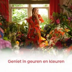 Robijn Color & Passiebloem Wasmiddel En Wasverzachter Pakket - 5 Stuks - Voordeelpakket -Winkel Voor Schoonmaakartikelen 1200x1200 660