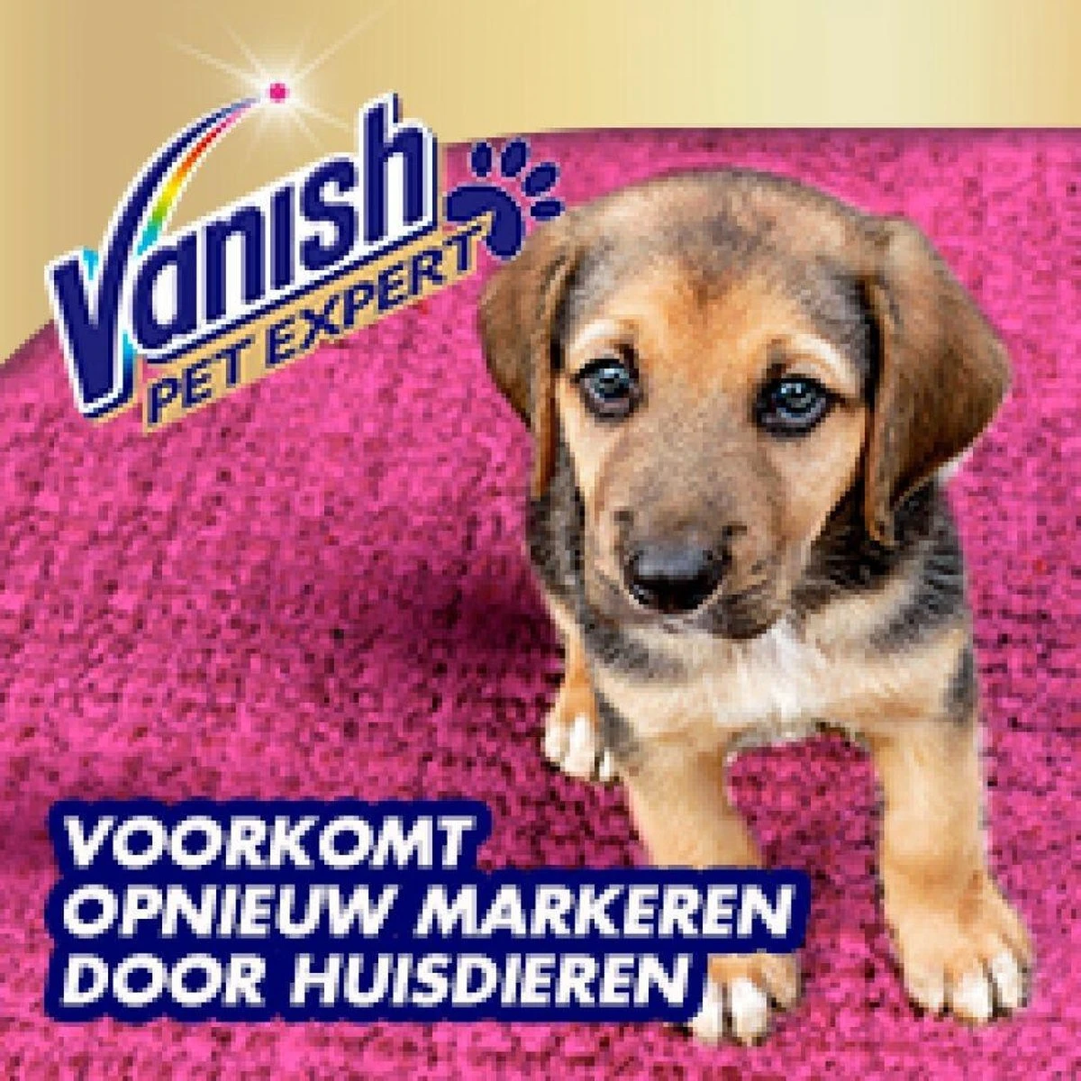 Vanish Pet Expert Schuim 600ml 4 Vanish Pet Expert Schuim 600ml - Image 4