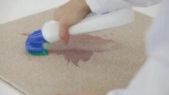 Dr. Beckmann Tapijtvlekkenborstel - Tapijtreiniging - Tapijt Vlekverwijderaar Met Borstel - Schoon Tapijt - Dierenvlekkenverwijderaar 8 Dr. Beckmann Tapijtvlekkenborstel - Tapijtreiniging - Tapijt Vlekverwijderaar Met Borstel - Schoon Tapijt - Dierenvlekkenverwijderaar -Winkel Voor Schoonmaakartikelen 1200x674