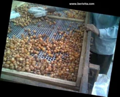 Wasnoten 3kg Met 4 Waszakjes - Zeepnoten - Natuurlijk Wassen - 4x750gr -Winkel Voor Schoonmaakartikelen 1200x973