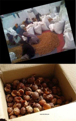 Wasnoten 3kg Met 4 Waszakjes - Zeepnoten - Natuurlijk Wassen - 4x750gr -Winkel Voor Schoonmaakartikelen 755x1200 3